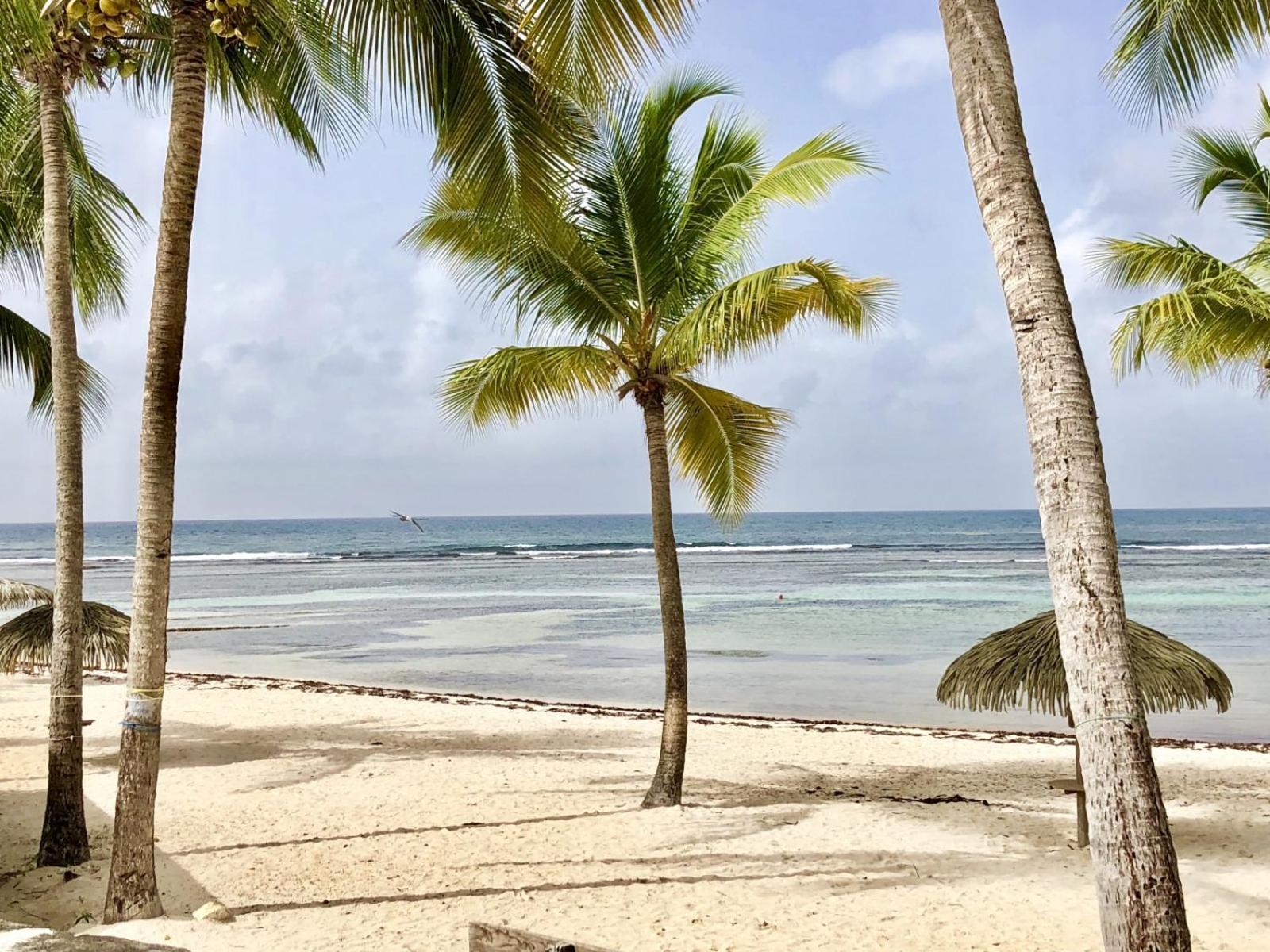 Guadeloupe- Saint-Francois- Residence Anse Des Rochers - Appartement Quart De Villa Etage - Vue Mer- 4 Personnes - Lit Bebe Sur Demande - Citerne Et Wifi Prives -Animaux Ok-Acces Plage Direct -Apnee Bien-Etre Experience Sur Demande Avec Instructeur A Luaran gambar